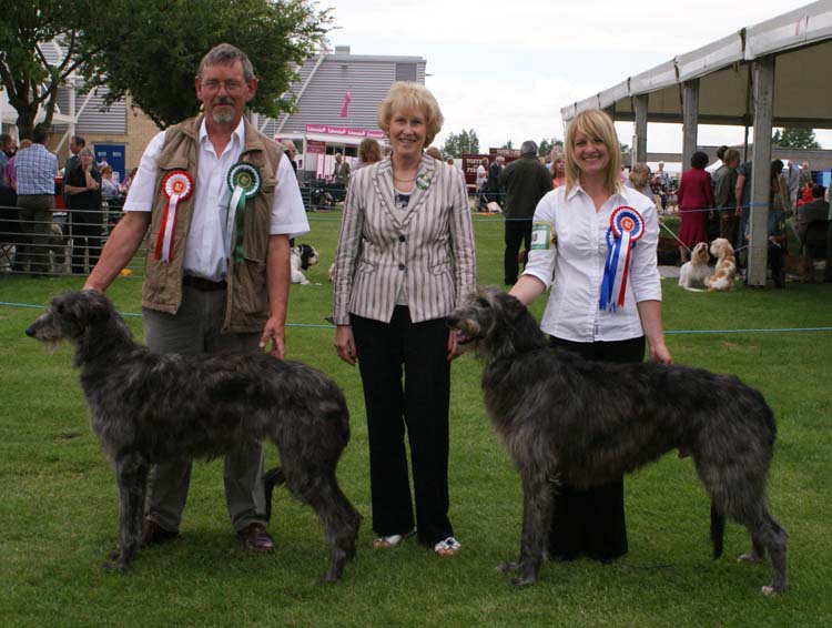 BOB & BOS Deerhound Club Breed Show 2009